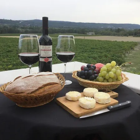 Mas Esteve Entre Et Cevennes 펜션 Aigremont