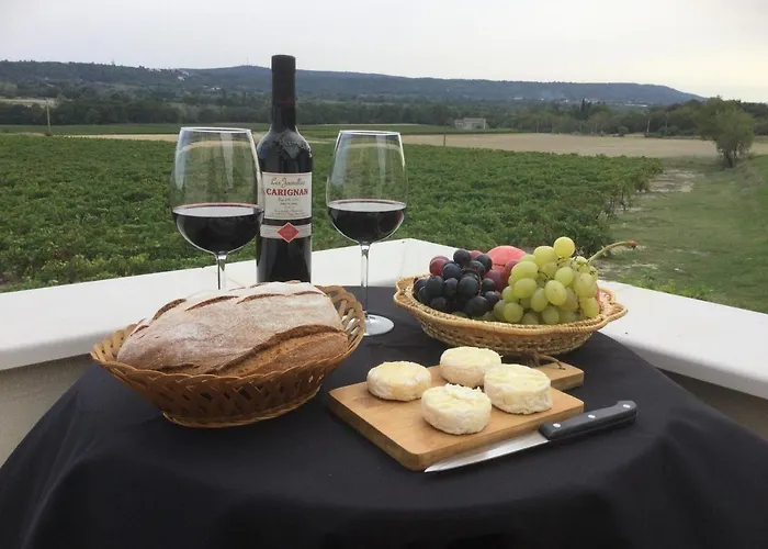 Mas Esteve Entre Et Cevennes Vakantiehuis Aigremont